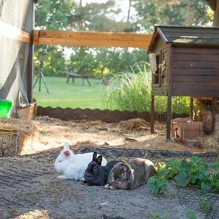 Spreewaldferienwohnungen Stein - Bela Gorka