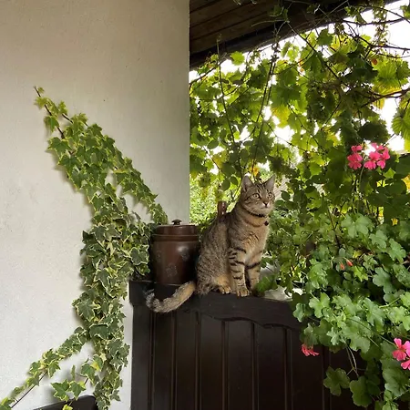 Spreewaldferienwohnungen Stein - Bela Gorka Apartmán *