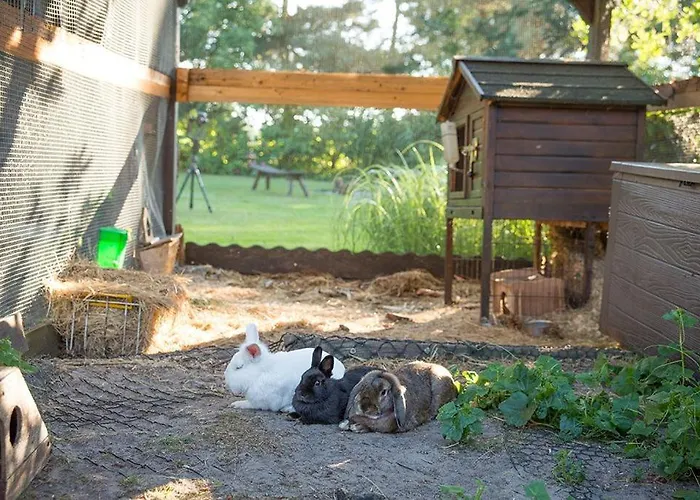Spreewaldferienwohnungen Stein - Bela Gorka