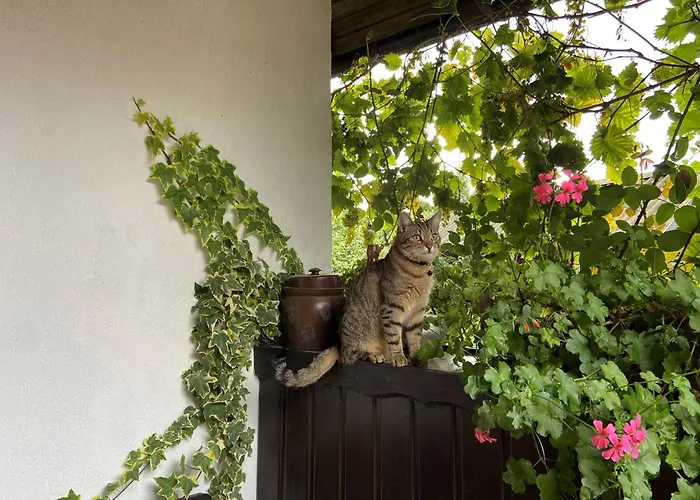 Spreewaldferienwohnungen Stein - Bela Gorka شقة *